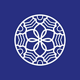 knoppen wix home (5).png