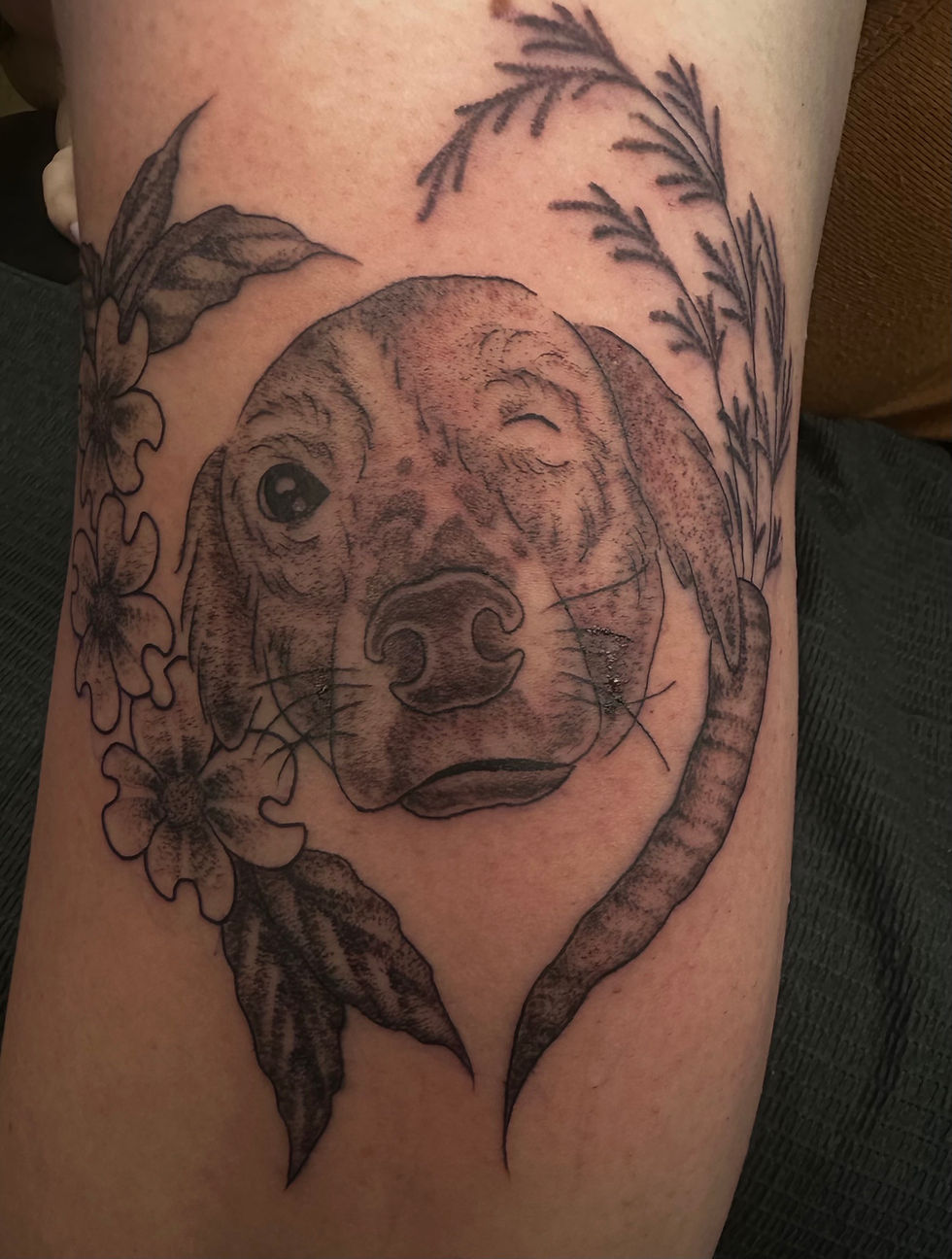 One Eyed Best Friend