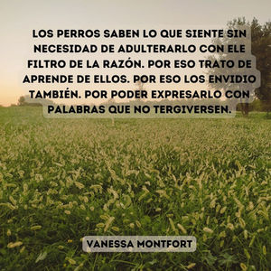 La Hermandad de las Malas Hijas