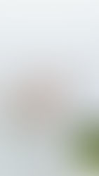 Creating Your Perfect Ceremony in North Wales: Independent Celebrant, Humanist or Registrar.