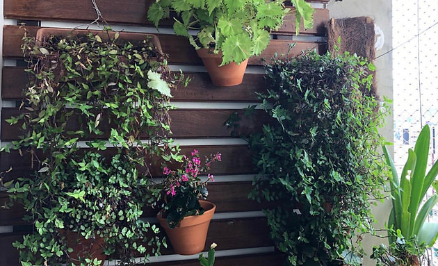 jardim vertical 1.jpg