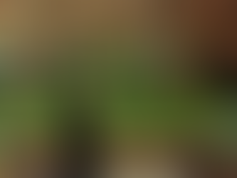 From Prince Narula to Nikki Tamboli: The 'Power 10' Captains Revealed for The 50! Zero Comfort, Total War! Everything You Need to Know About The 50 Opening Night!