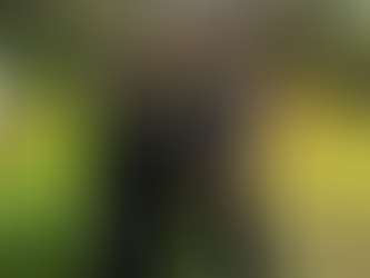 Shocking! Internet Goes Wild! Abhishek Malhan’s Roadies Entry With Elvish Yadav LEAKED? Post VIRAL!? Details Inside! Check out Now! 