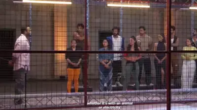 BREAKING! Oh No! Tiger Shroff’s Sister Krishna Shroff Exits Khatron Ke Khiladi 14! Speaks Out About Sumona Chakravarti! Details Inside! Check out Now!