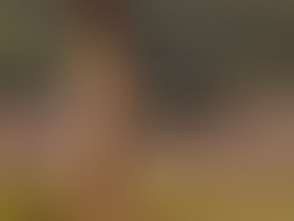 Ayan Mukerji Calls Kiara Advani "Ray of Sunshine" in War 2