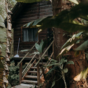 Sustainable Adventure Travel with TREE Exploration (Tropical Rainforest Education and Exploration)