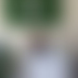 Sasha Reid's Incredible Cancer Comeback Story & My Visit to her Alkaline Wellness Centre