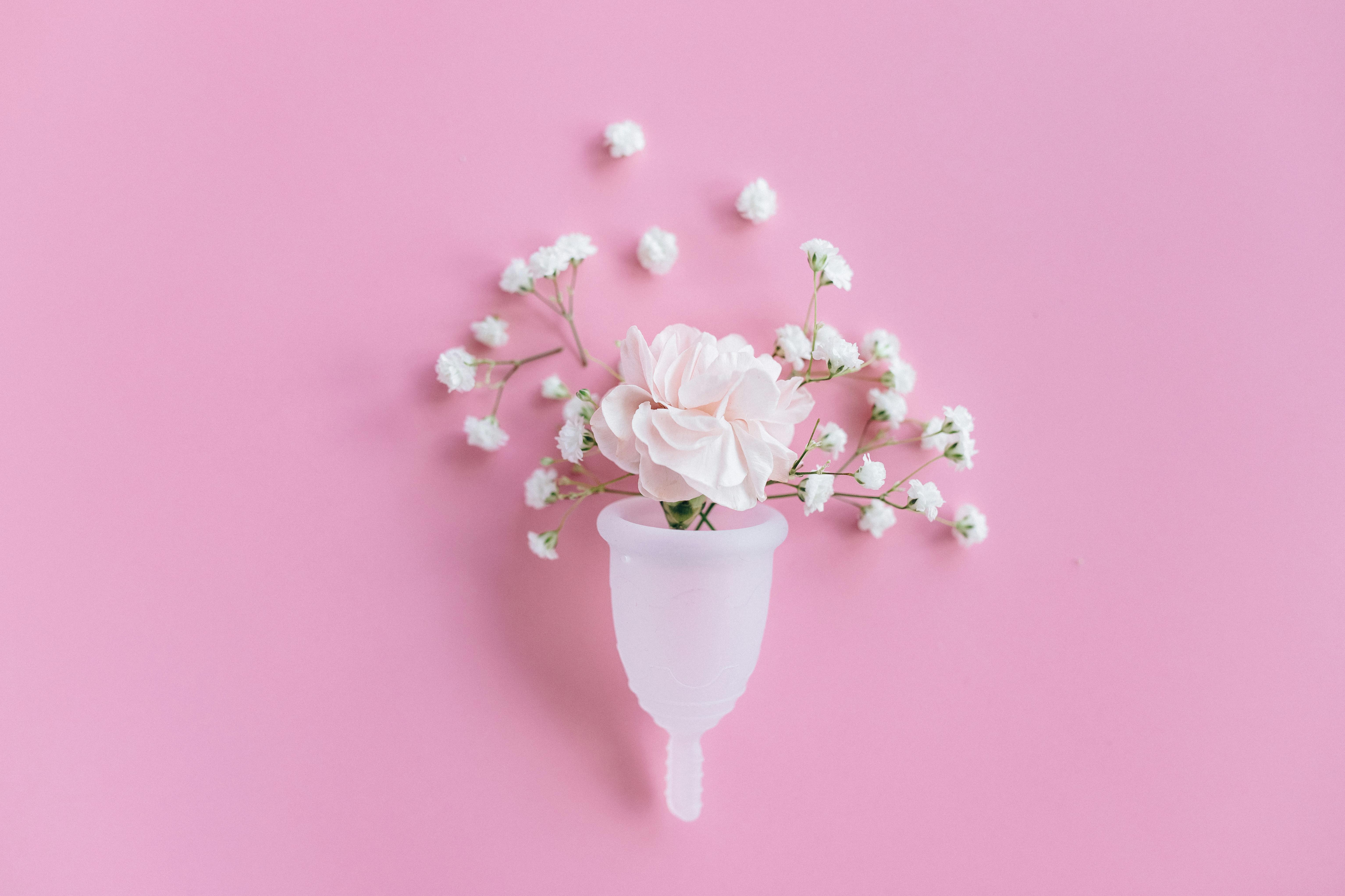 Menstrual hygiene