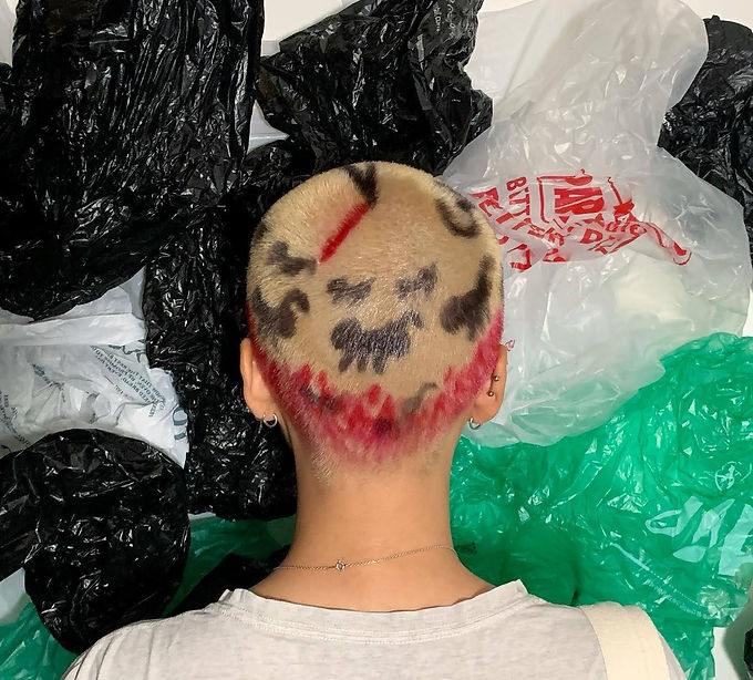 Antepenultimate, Artist – Shane Willis