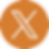 x icon.png
