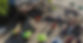banner-marges-lakeside-inn-rochester-ny-