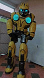 Cosplay Bumblebee