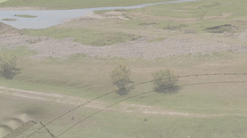 Ruderal_PILESANIMATION1.gif