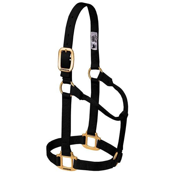 Thumbnail: Weaver Non-Adjustable Halter - Large