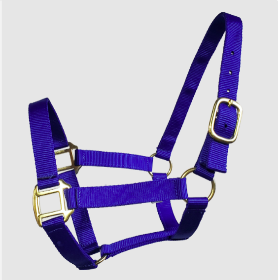 Thumbnail: Nylon Halter Economy - Full Size