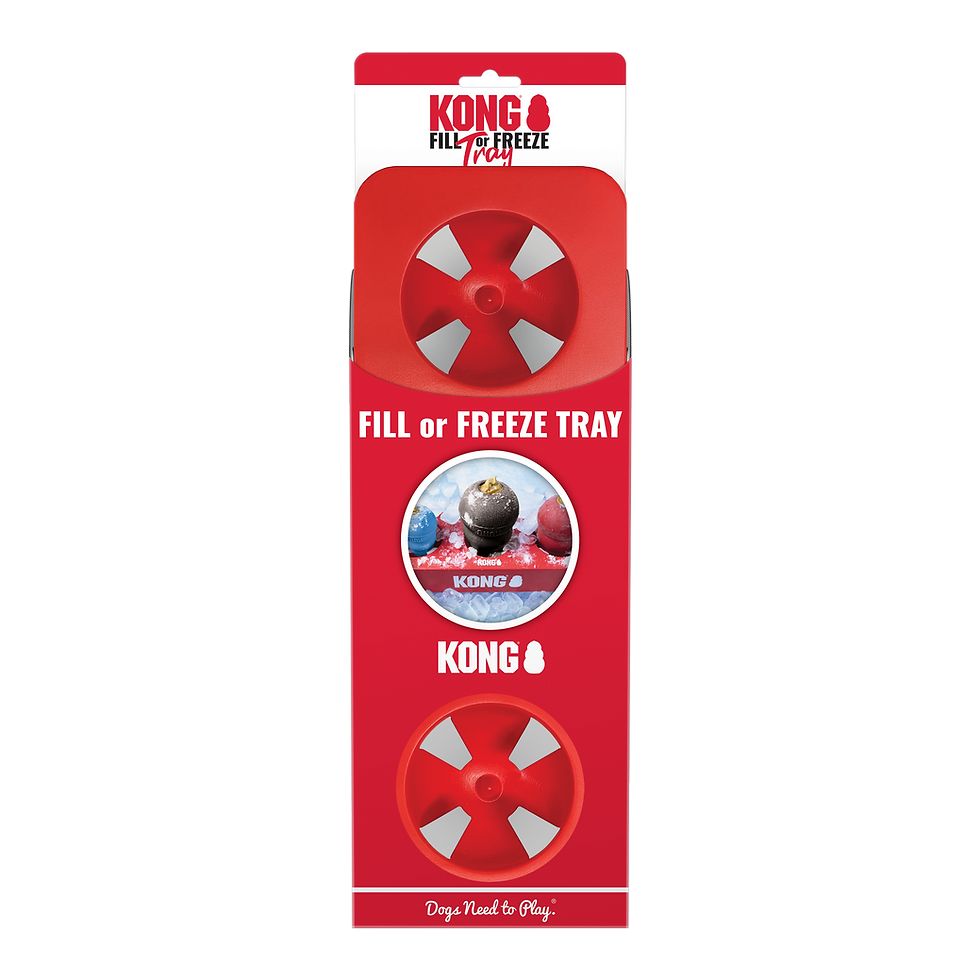 Kong Fill or Freeze Tray