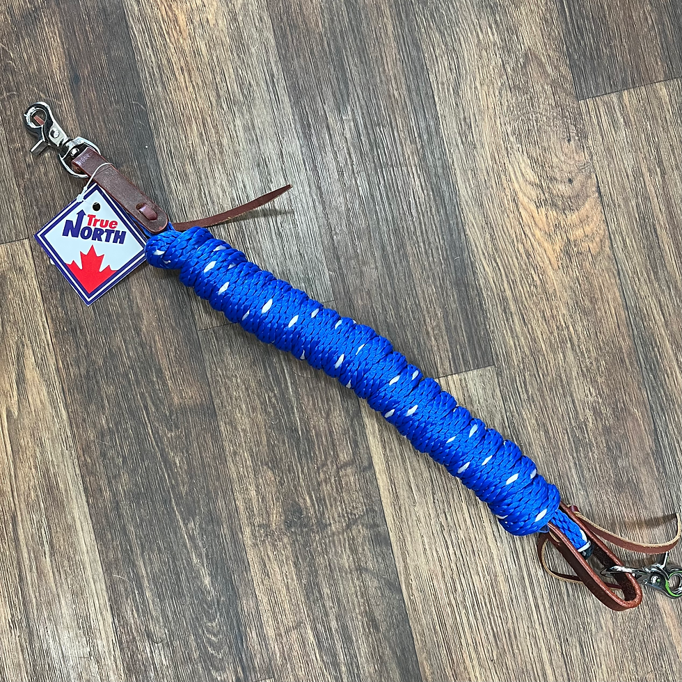 Thumbnail: Coloured Nylon Single Rein 10ft