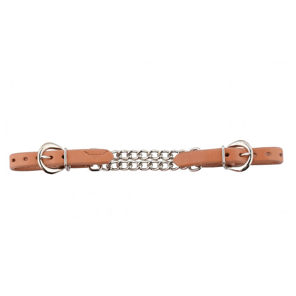 Thumbnail: WR Deluxe Double Curb Chain