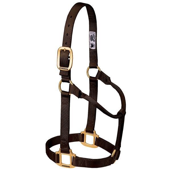 Thumbnail: Weaver Non-Adjustable Halter - Large
