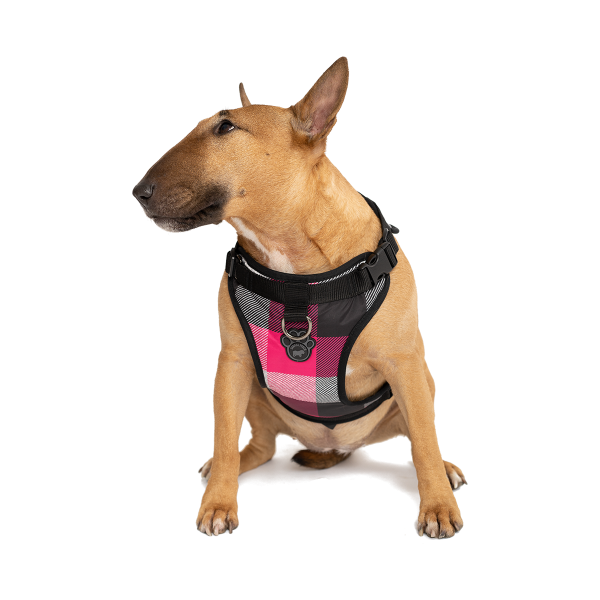 Thumbnail: Canada Pooch Everyday Harness - XLarge