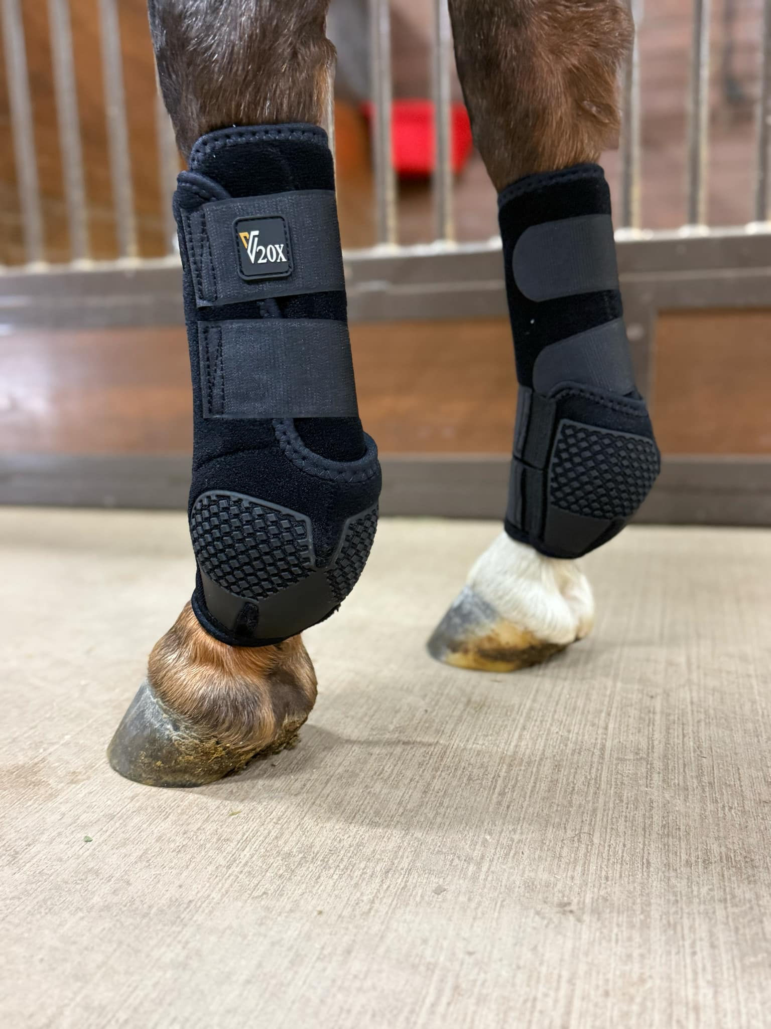 Alliance Equine V20X Sport Boots - Black