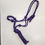 Thumbnail: Rope Halter w/ 7ft Lead