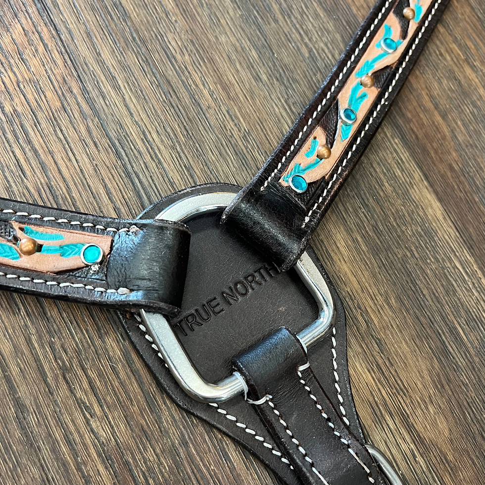 Thumbnail: Coloured Crystals Breastcollar 