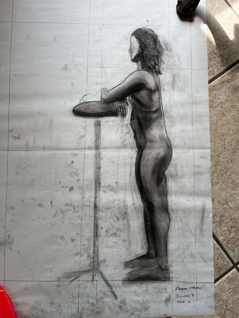 Drawings & Illustrations (5)