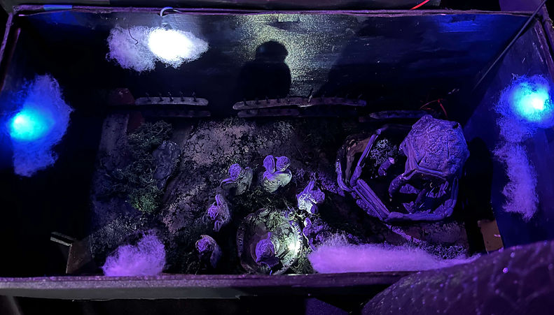 Asthorne Images (5)_edited.jpg