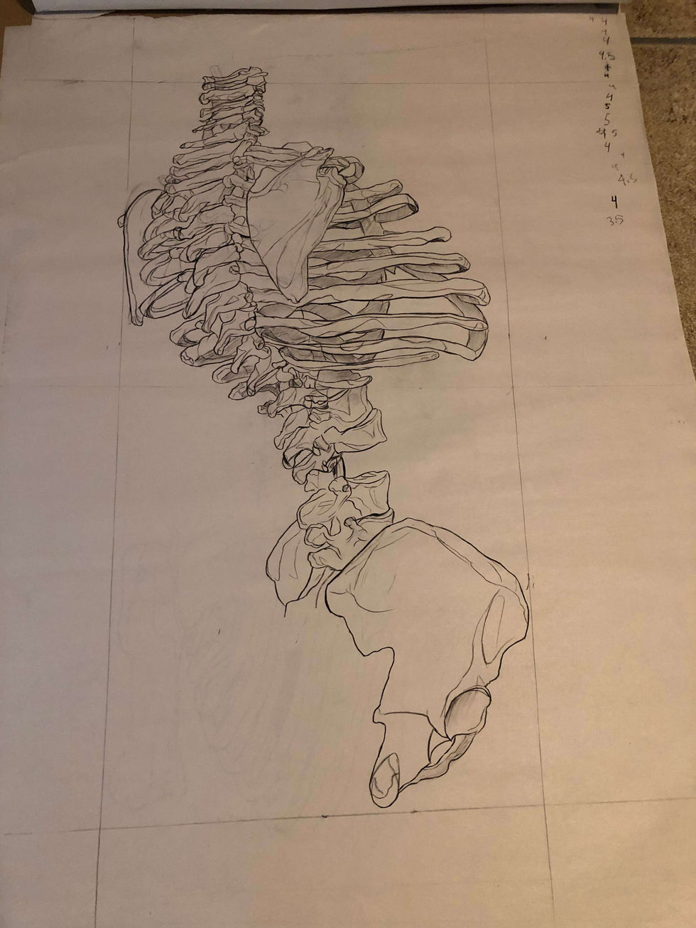 Drawings & Illustrations (13)