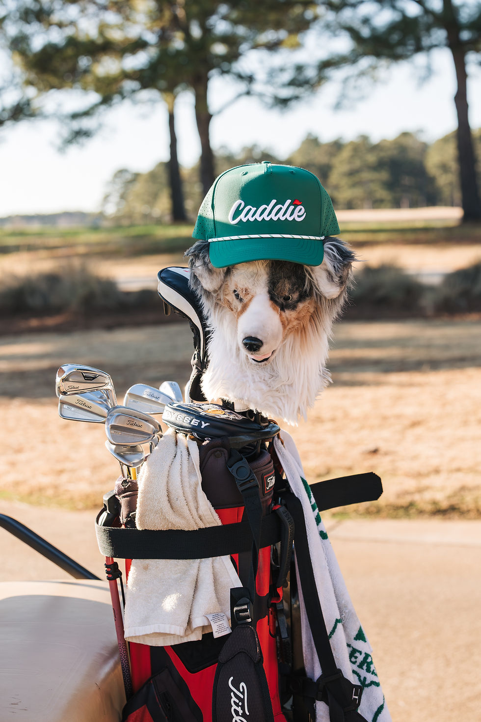 Thumbnail: Youth Caddie Rope Hat (R-HC-1Y)