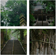 場