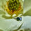 Thumbnail: 18K WG Ring with Blue Sapphire, Green Tourmaline & Diamonds