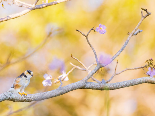 It Only Took Fifteen Years