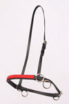 Thumbnail: Beta Race Halter