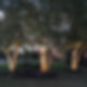 Low voltage lighting on Birch trees