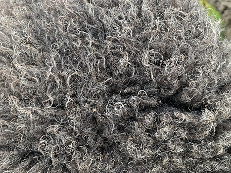 Shetland wool