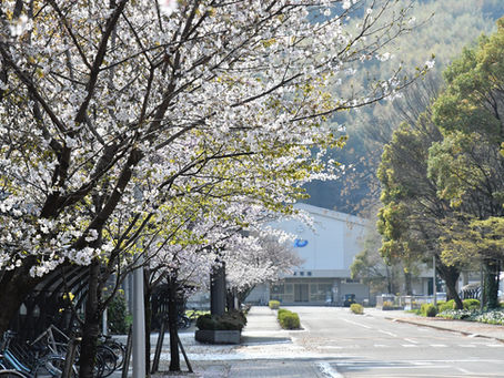 新入生・部員募集について