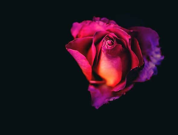 gala flower.jpg