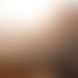 Volver al Señor con gratitud