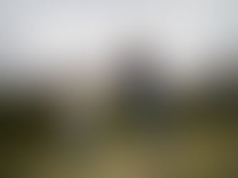 El amor le da sentido a la vida