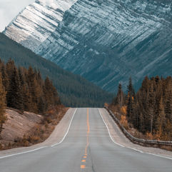 ¡Hazme ver el camino!