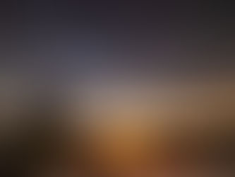 Se llenaron de inmensa alegria