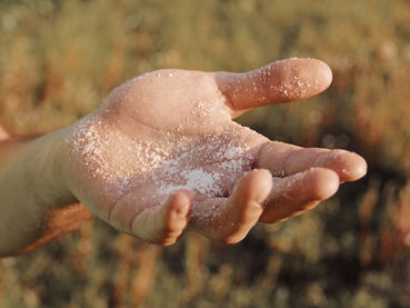 Señor, quiero ser un poco de sal y de luz para los demás