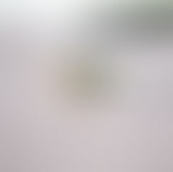 UNA PRÉDICA MUY DURA