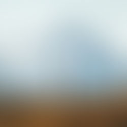 EL CAMINO DE LA SANACIÓN