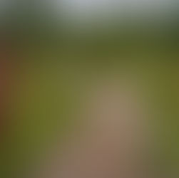 Discernimiento: don y gracia de Dios