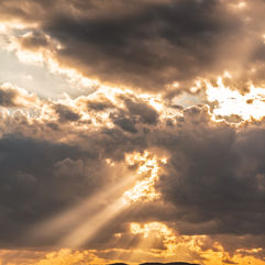 La raíz del mal y el principio del cambio