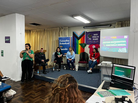 Seminário debate Justiça Reprodutiva e Controle Social