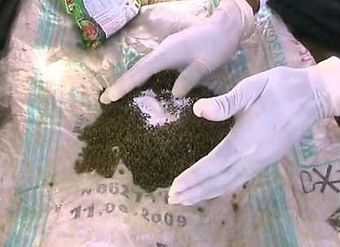 seed treatment.jpg